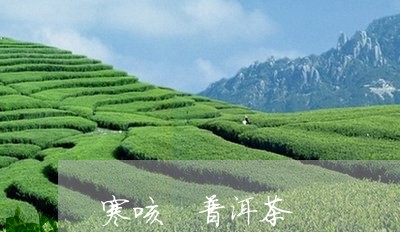 寒咳 普洱茶/2023042868555